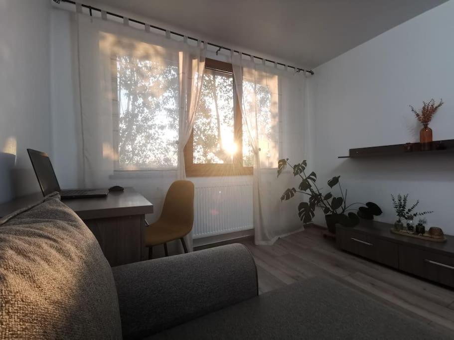 Apartament Gulliver In Centrul Vechi Iasi Buitenkant foto