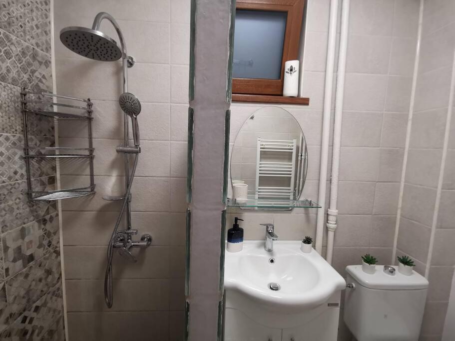 Apartament Gulliver In Centrul Vechi Iasi Buitenkant foto