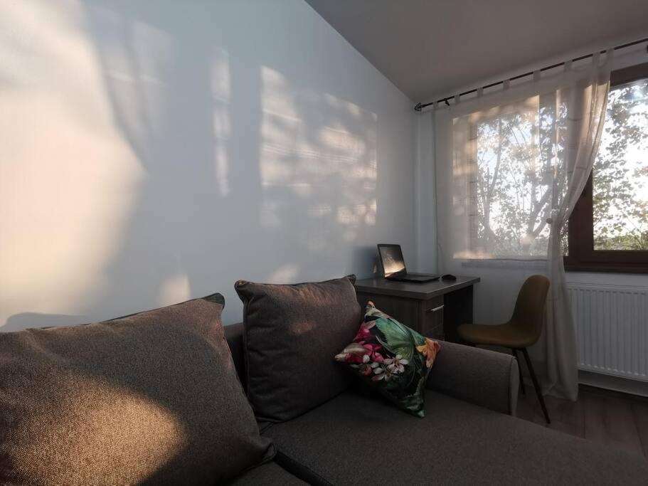 Apartament Gulliver In Centrul Vechi Iasi Buitenkant foto