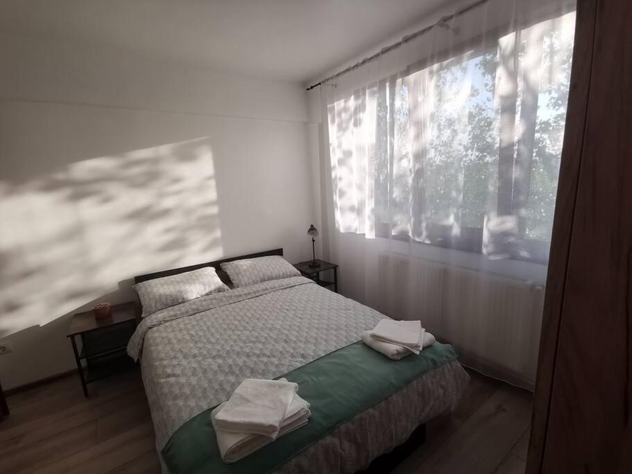 Apartament Gulliver In Centrul Vechi Iasi Buitenkant foto