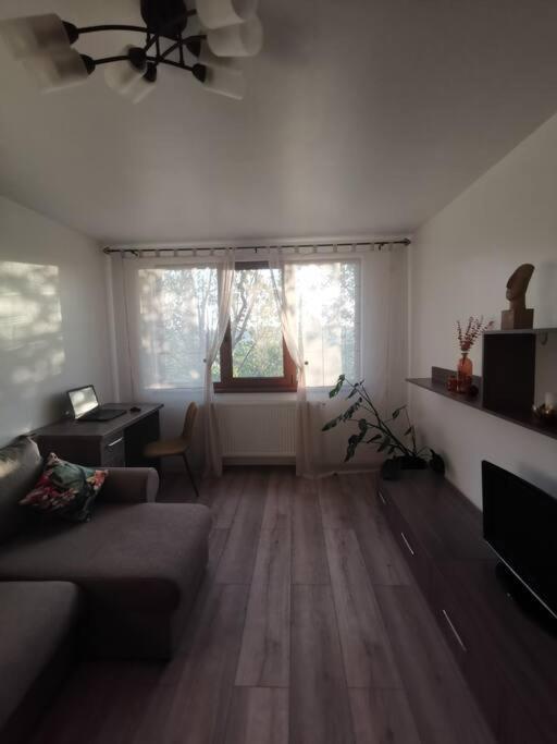 Apartament Gulliver In Centrul Vechi Iasi Buitenkant foto